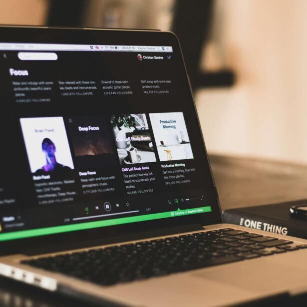 How Streaming Platforms Decide What Artists Earn